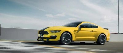 Ford Mustang Shelby GT350R 2019 Ford Mustang Shelby GT350R 2019 màu vàng