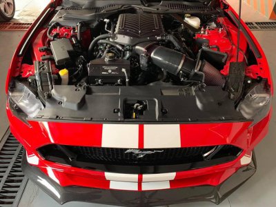 Ford Mustang Hennessey sức mạnh “khủng” cập cảng Sài Gòn, nhanh chóng xuất hiện trên phố 6 Ford Mustang Hennessey sức mạnh “khủng” cập cảng Sài Gòn, nhanh chóng xuất hiện trên phốa