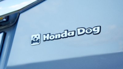 Honda ‘chiều lòng’ thú cưng bằng trang bị Honda Dog a2 Honda ‘chiều lòng’ thú cưng bằng trang bị Honda Dog a2.