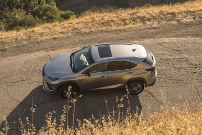 Lexus NX 2019.