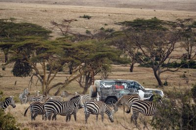 Land Rover Defender 2020 tham gia chương trình thử nghiệm tại Lãnh địa Sư tử Kenya 19 Land Rover Defender 2020 tham gia chương trình thử nghiệm tại Lãnh địa Sư tử Kenya a19