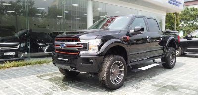 Ford F-150 Harley-Davidson hàng hiếm về Việt Nam có gì đặc biệt? a4