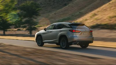 Những điều cần biết về Lexus RX 2020 - ảnh 8 Đuôi xe Lexus RX 2020.