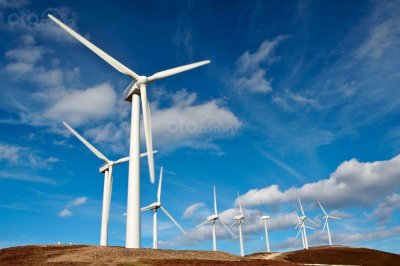 Một cánh đồng turbine điện Turbin điện.