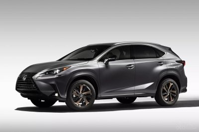 Lexus NX 300 2020 Black Line ấn tượng với tông màu đen viền đồng nổi bật