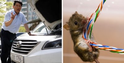 Các màn xe Hyundai dính phốt: Hyundai Santa Fe, Sonata và Tucson đều có mặt Các màn xe Hyundai dính phốt: Hyundai Santa Fe, Sonata và Tucson đều có mặt