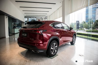 Cận cảnh xe Lexus NX 300 2020 đầu tiên về đại lý chính hãng tại Hà Nội a2