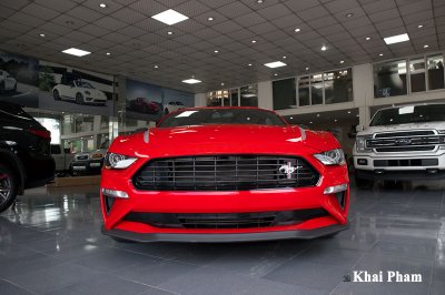 Cận cảnh xe Ford Mustang High Performance 2020 độc nhất Việt Nam 5 Ảnh đầu xe Ford Mustang High Performance 2020