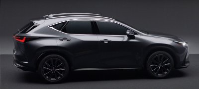 Lexus NX sẽ có phiên bản thể thao với các đường viền đen đặc trưng trên thân xe.