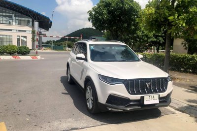 Zotye Z8L.