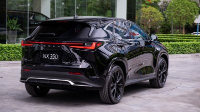 Thiết kế đuôi xe của Lexus NX 2022.