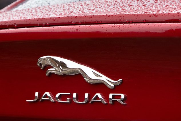 Jaguar.