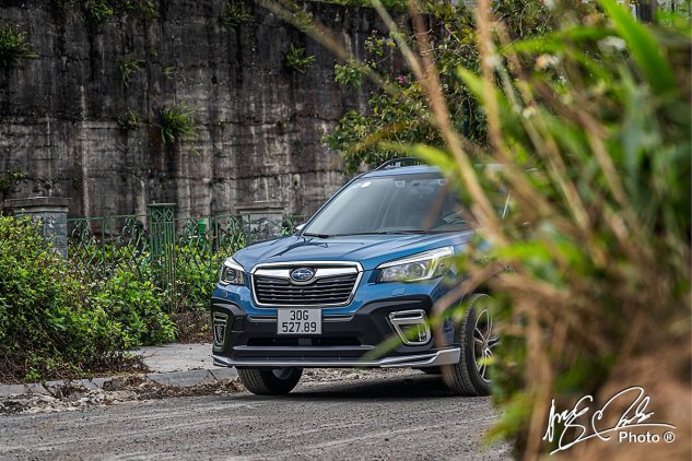 Có nên mua xe Subaru Forester cũ không? 1