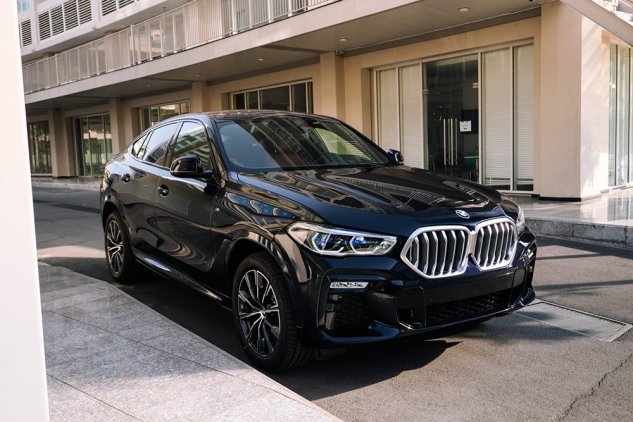 Xe BMW X6 2019 1